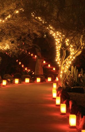 Lights Along Path — Party Supplies in Wagga Wagga, NSW